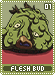 fleshbud01